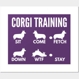 Corgi Training Corgi Dog Tricks Posters and Art